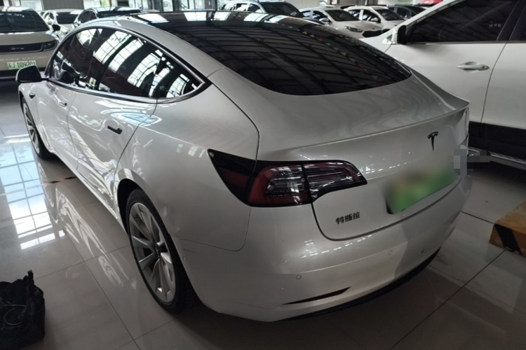 Tesla Model 3 2021 #5 Tesla Model 3 2021 car image #5