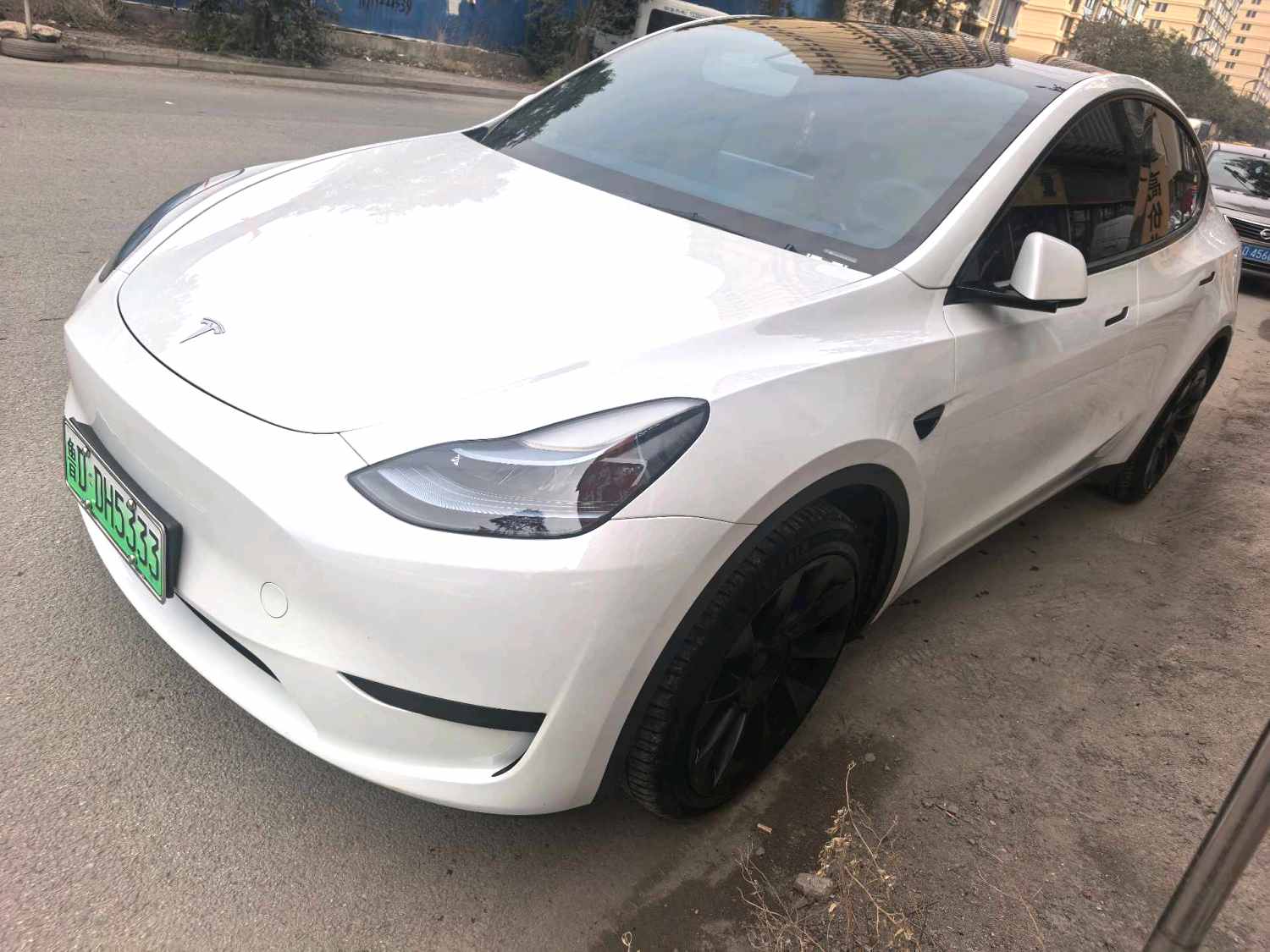 Tesla Model Y 2024 car image 