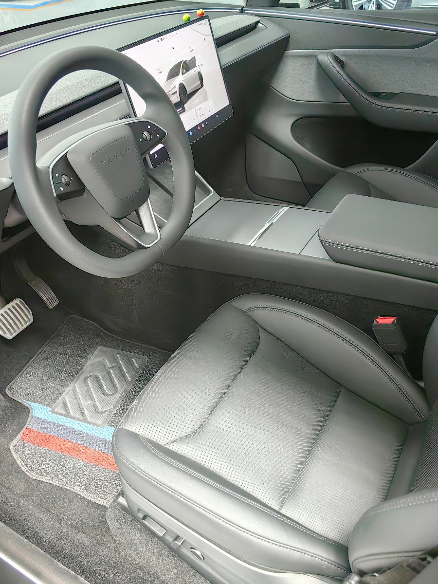 Tesla Model Y 2025 car image #8