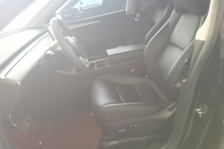 Tesla Model Y 2023 car image #15