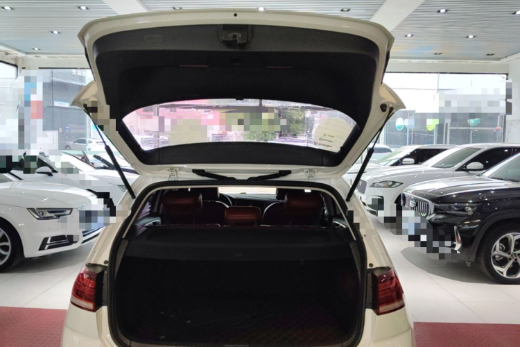 Volkswagen Golf 2018 car image #19