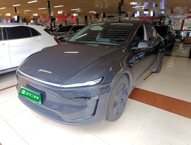 Tesla Model Y 2025 car image 