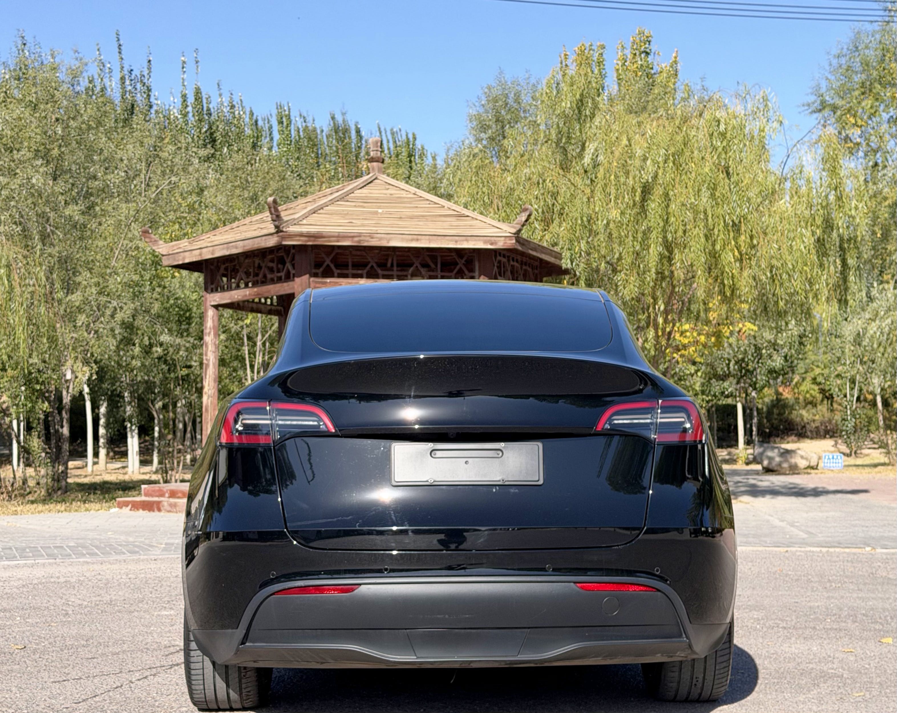 Tesla Model Y 2021 car image #5