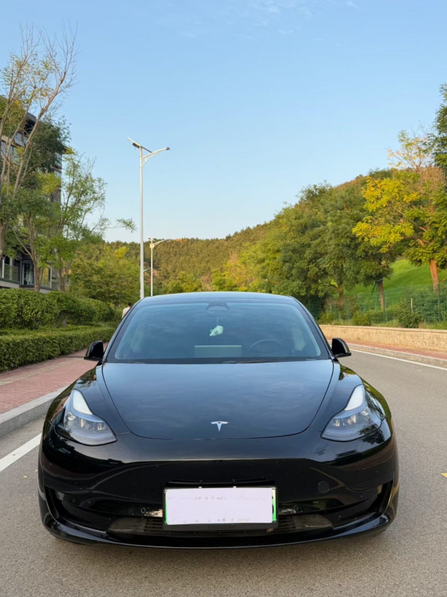 Tesla Model 3 2022 car image #2