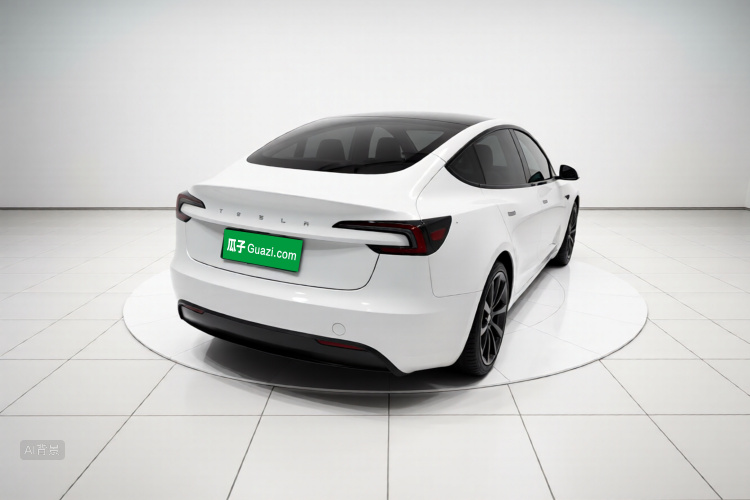 Tesla Model 3 2023 car image #7