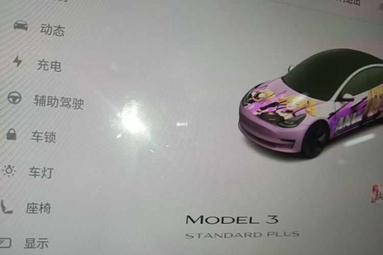 Tesla Model 3 2021 #16 Tesla Model 3 2021 immagine di auto #16