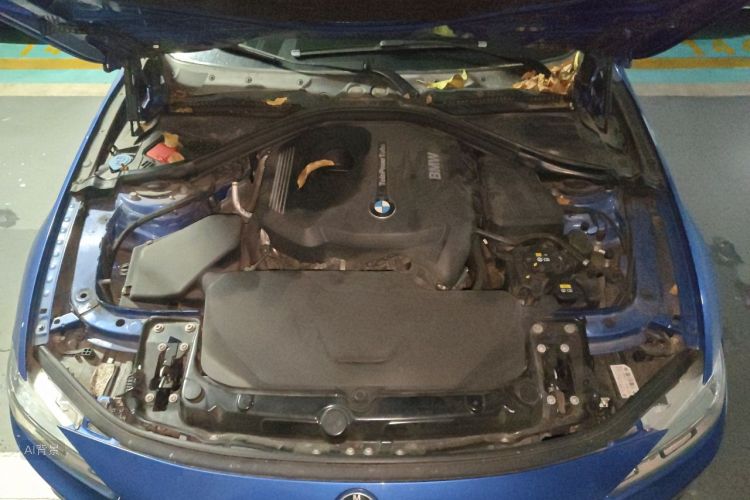 BMW 3 Series 2017 car image #22