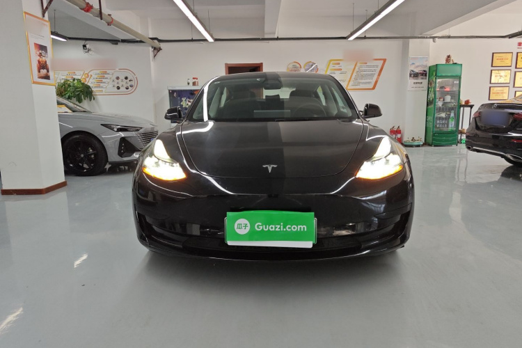 Tesla Model 3 2023 #3 Tesla Model 3 2023 car image #3
