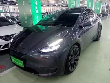 Tesla Model Y 2022 immagine di auto 