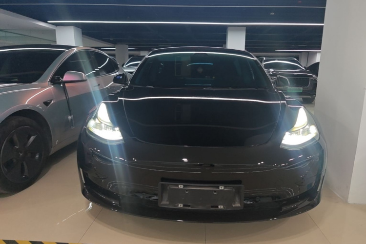 Tesla Model 3 2023 #3 Tesla Model 3 2023 car image #3