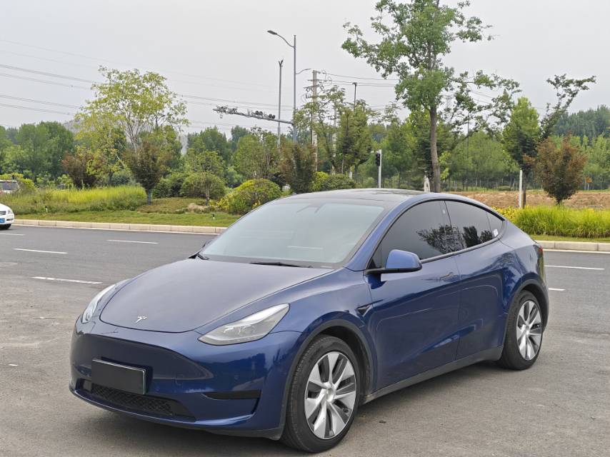 Tesla Model Y 2022 Tesla Model Y 2022 car image