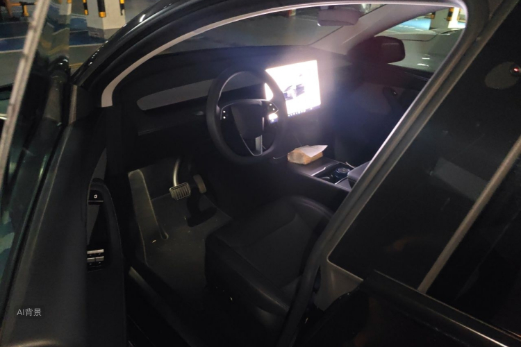 Tesla Model Y 2025 car image #18