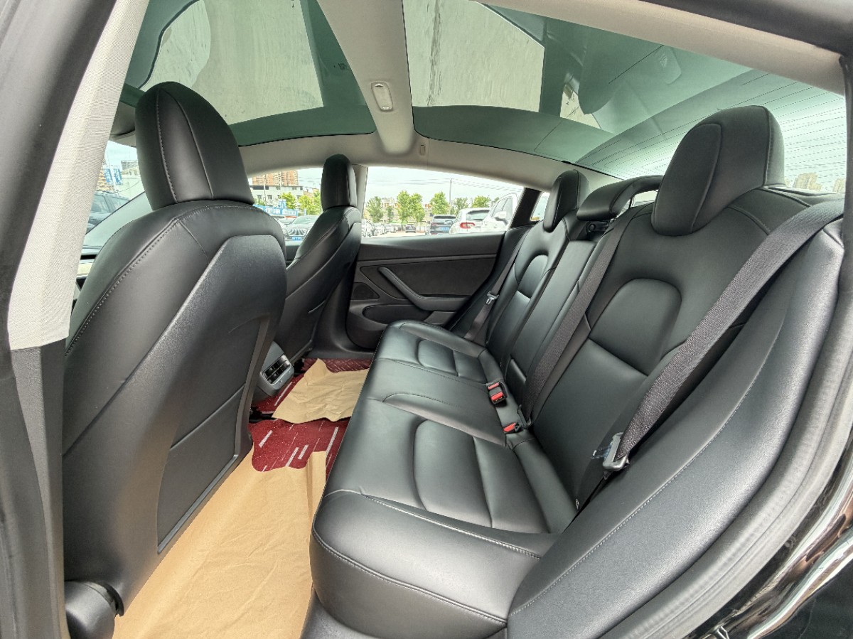 Tesla Model 3 2020 #6 Tesla Model 3 2020 car image #6