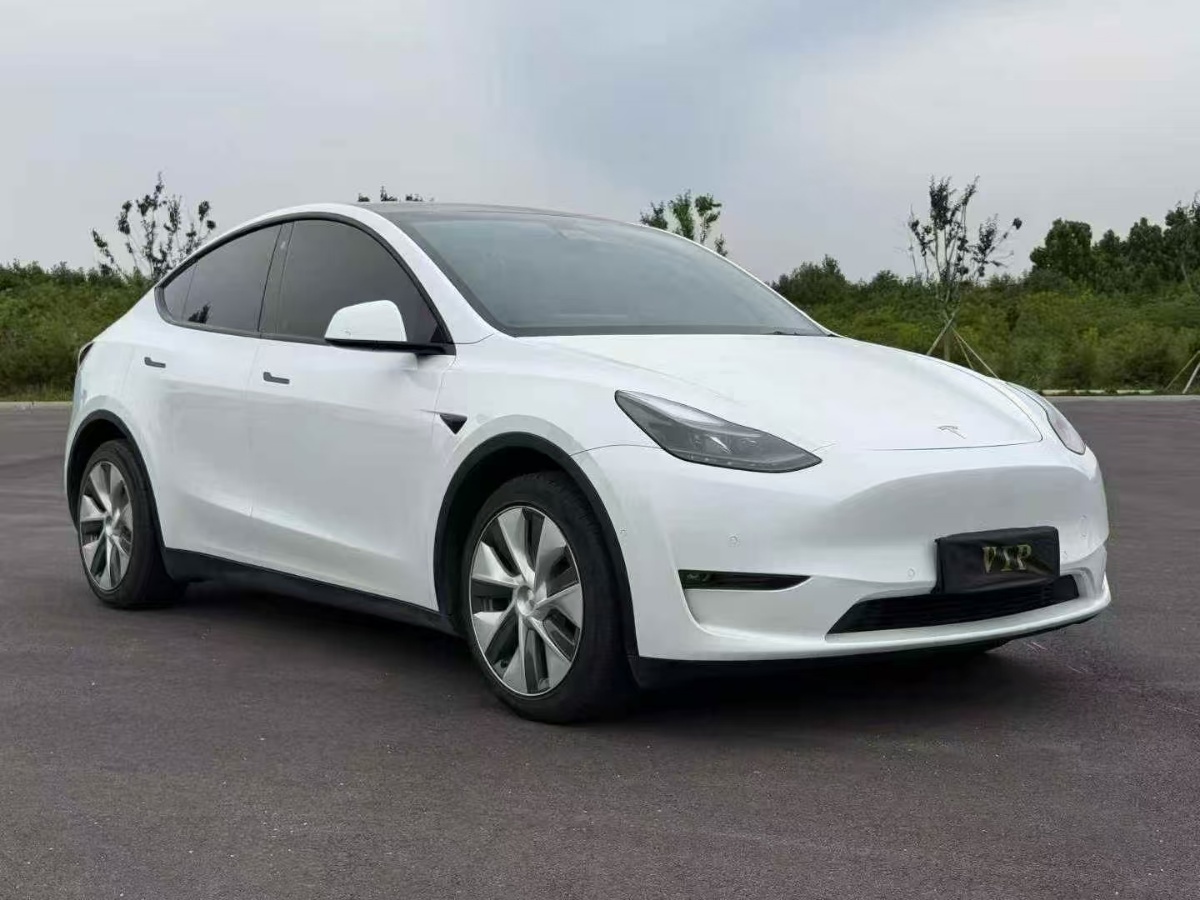Tesla Model Y 2021 car image #3