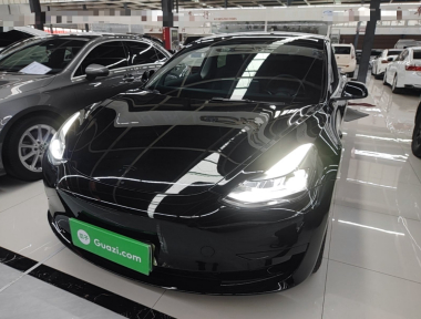 Tesla Model 3 2022 car image 