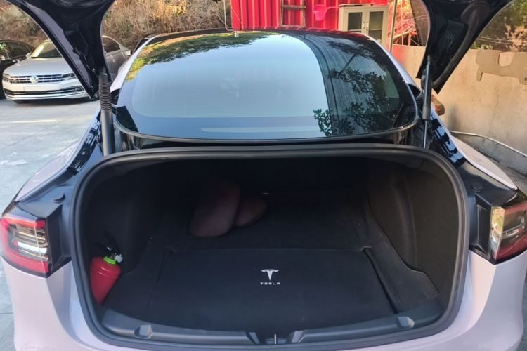 Tesla Model 3 2021 car image #19