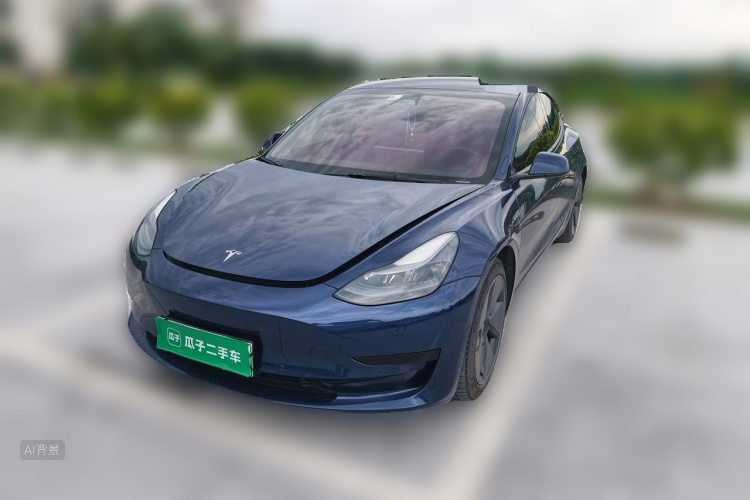 Tesla Model 3 2021 car image #2