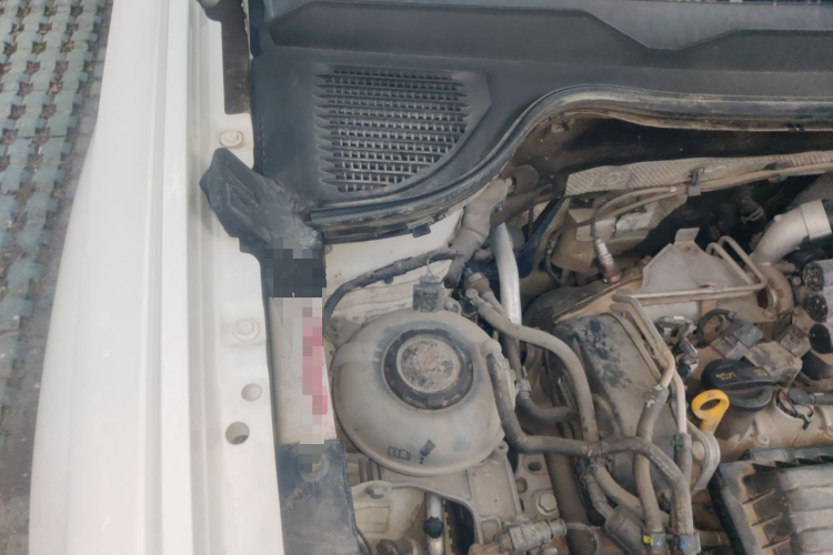 Volkswagen Tharu 2021 #26 Volkswagen Tharu 2021 صورة سيارة #26