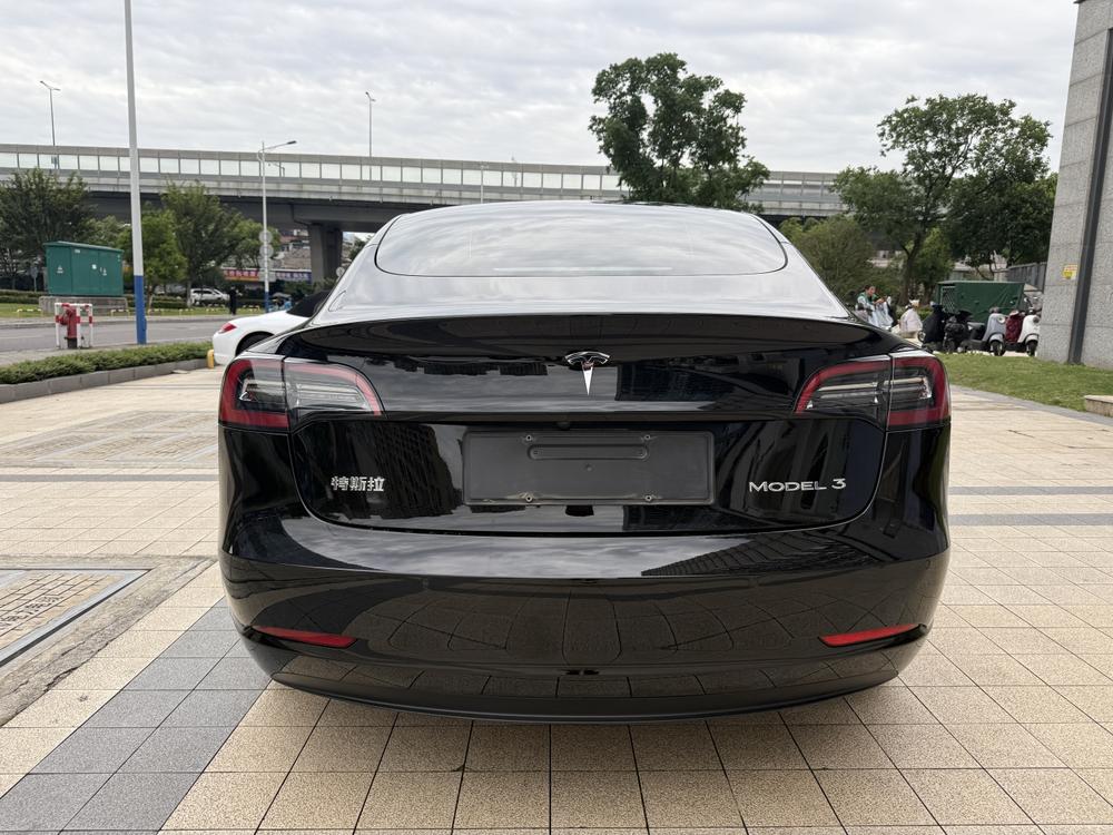 Tesla Model 3 2021 #6 Tesla Model 3 2021 car image #6