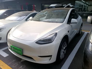 Tesla Model Y 2023 car image 