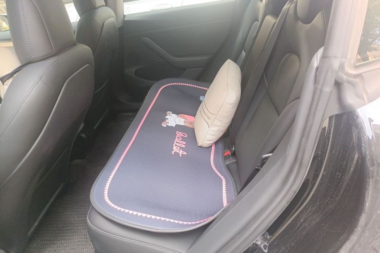 Tesla Model 3 2023 car image #10