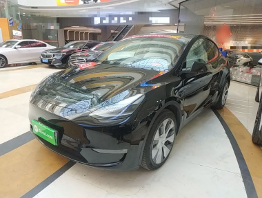 Tesla Model Y 2022 Tesla Model Y 2022 car image