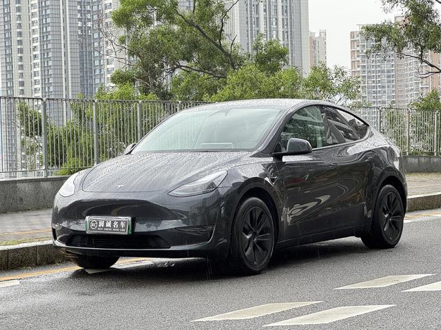 Tesla Model Y 2024 car image #22