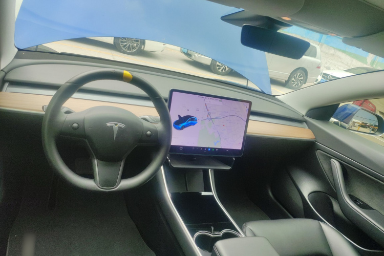 Tesla Model 3 2020 immagine di auto #11