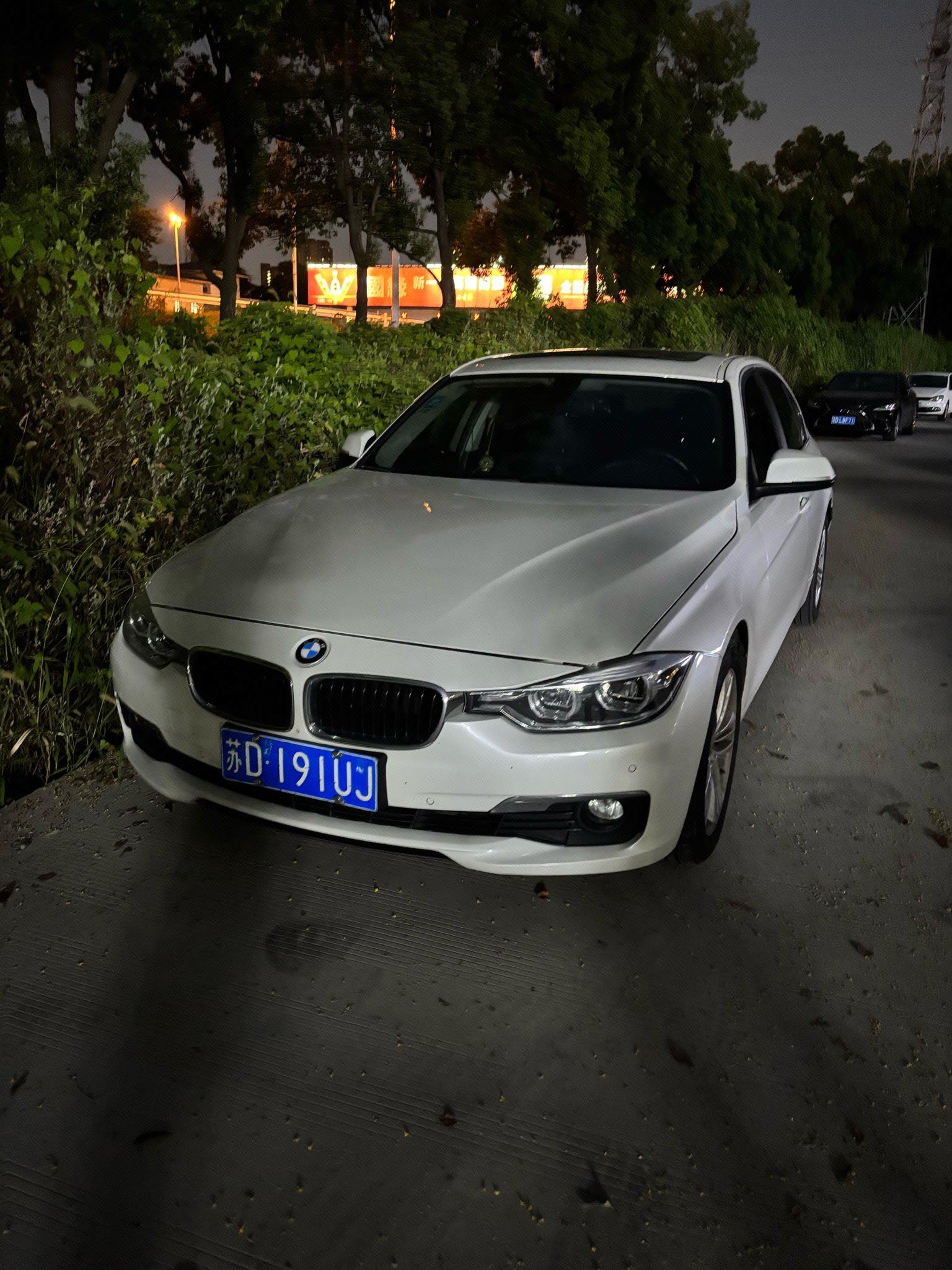 BMW 3 Series 2017 BMW 3 Series 2017 car image