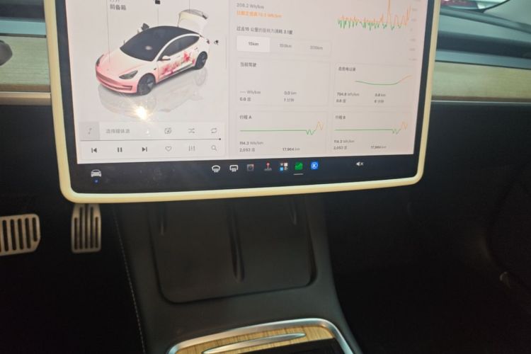 Tesla Model 3 2022 #13 Tesla Model 3 2022 car image #13