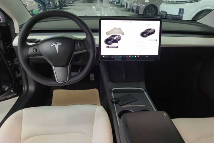 Tesla Model 3 2021 #10 Tesla Model 3 2021 car image #10