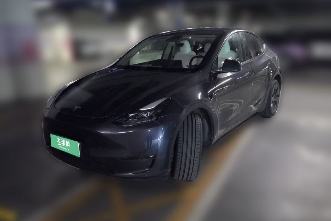 Tesla Model Y 2024 Tesla Model Y 2024 car image