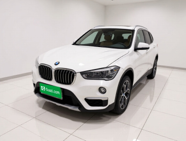 BMW X1 2019 car image 