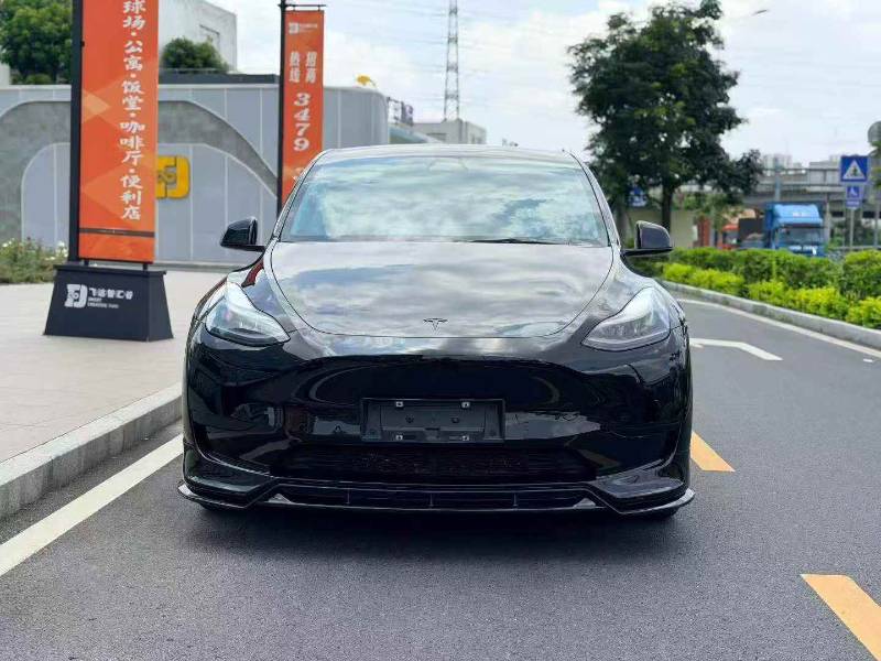 Tesla Model Y 2022 Tesla Model Y 2022 car image