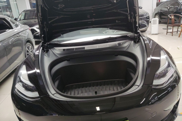 Tesla Model 3 2021 car image #22