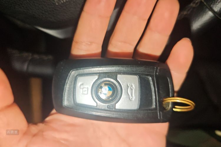 BMW 3 Series 2016 car image #10