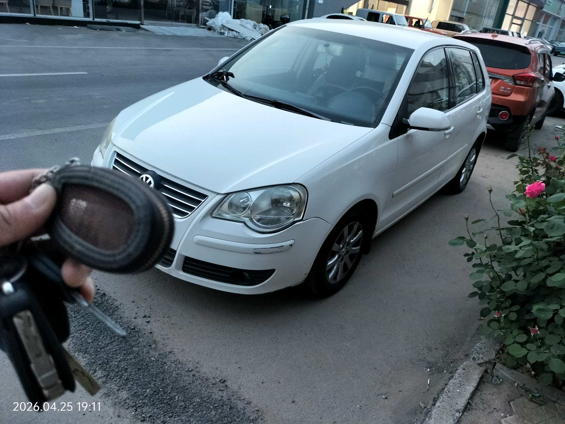 Volkswagen Polo 2010 car image 