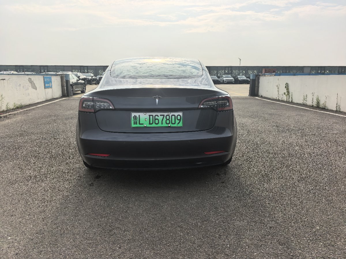 Tesla Model 3 (Imported) 2019 car image #6