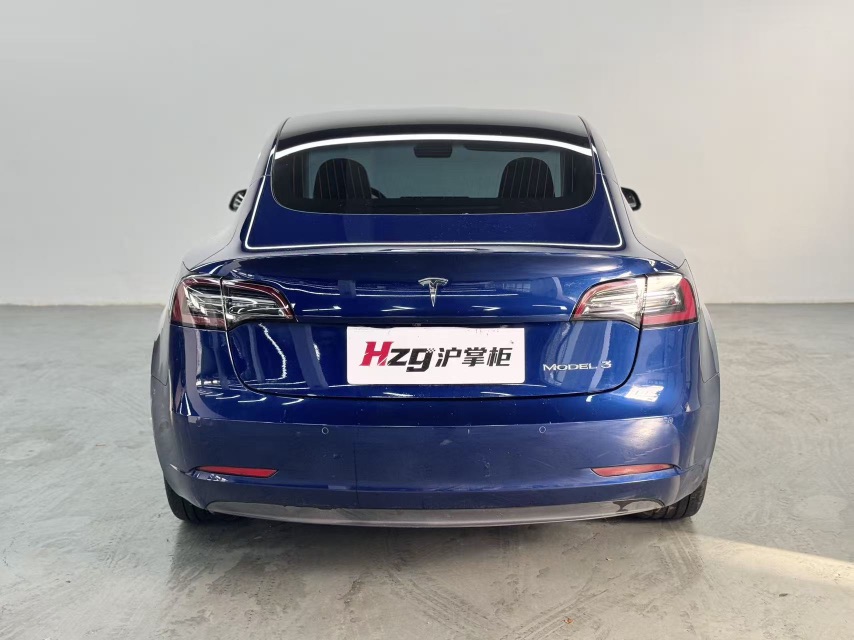 Tesla Model 3 2020 car image #6