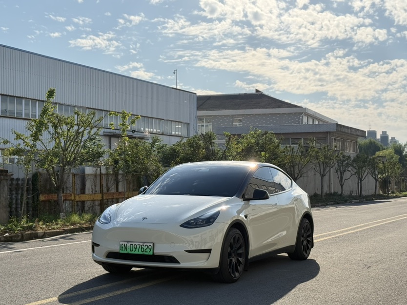 Tesla Model Y 2022 Tesla Model Y 2022 car image