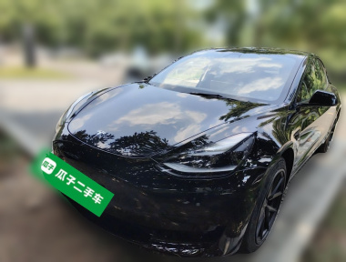 Tesla Model 3 2021 Tesla Model 3 2021 immagine di auto