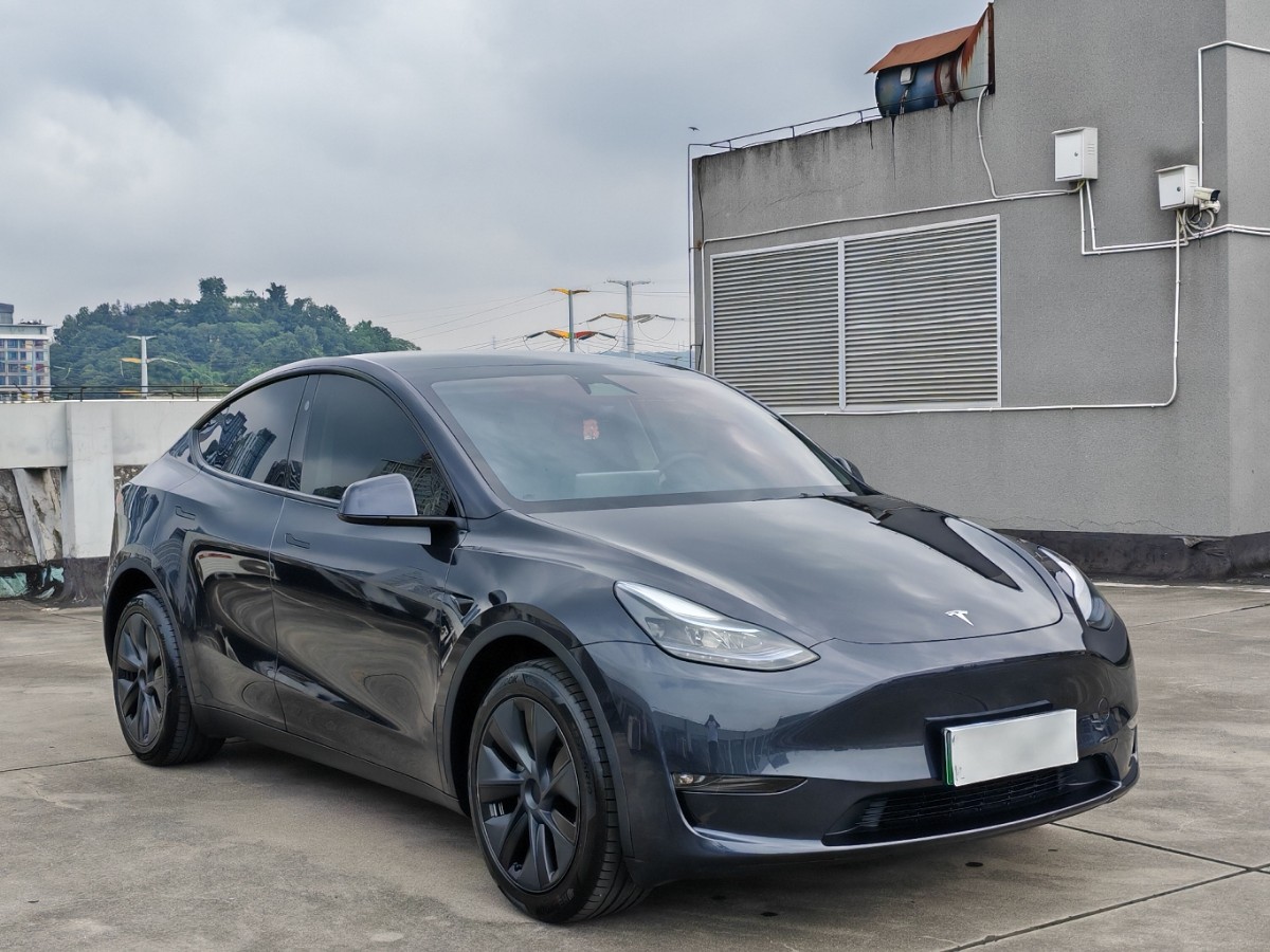Tesla Model Y 2024 #2 Tesla Model Y 2024 car image #2