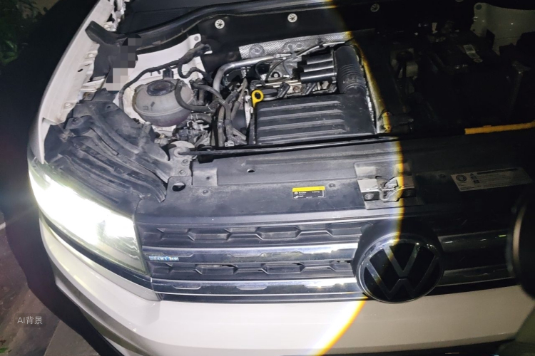 Volkswagen Tharu 2021 car image #8