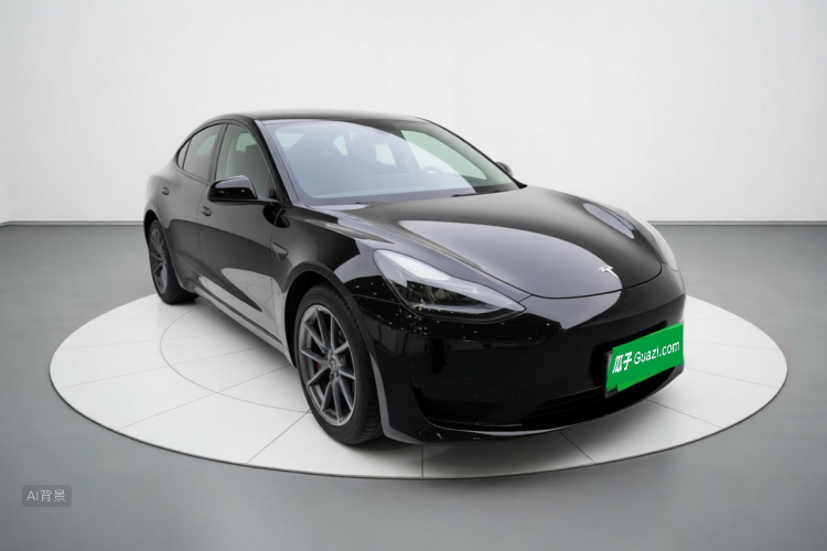 Tesla Model 3 2021 car image #4