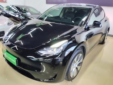 Tesla Model Y 2023 Tesla Model Y 2023 car image