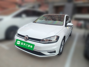 Volkswagen Golf 2019 Volkswagen Golf 2019 car image