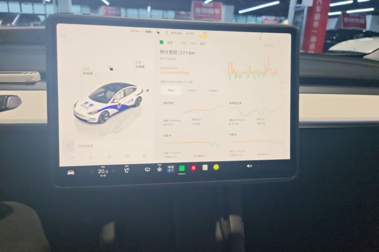 Tesla Model 3 2022 imagem de carro #13