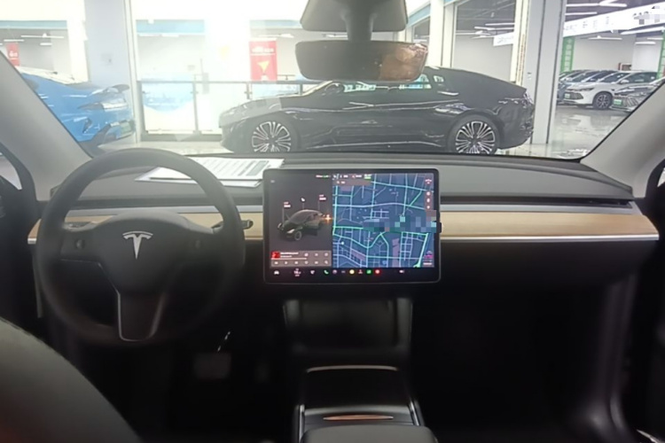 Tesla Model Y 2021 car image #10