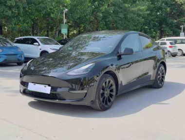 Tesla Model Y 2021 Tesla Model Y 2021 car image