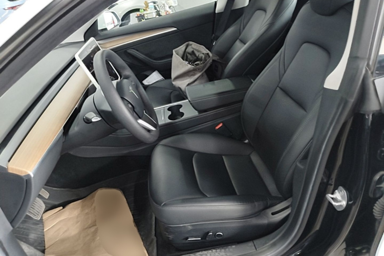 Tesla Model 3 2023 car image #15